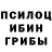 Псилоцибиновые грибы Magic Shrooms Pops Quest