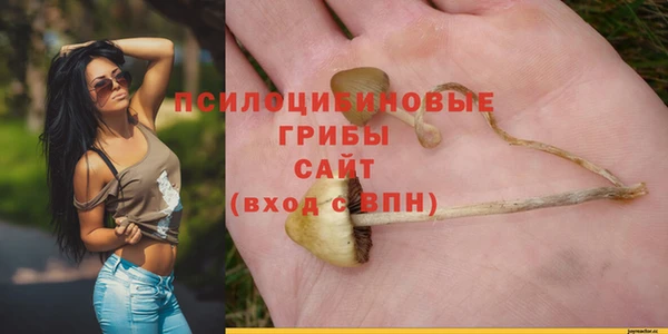 крисы Армянск