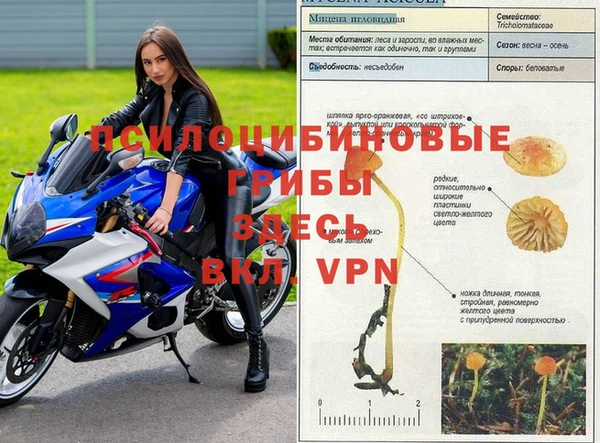 крисы Армянск
